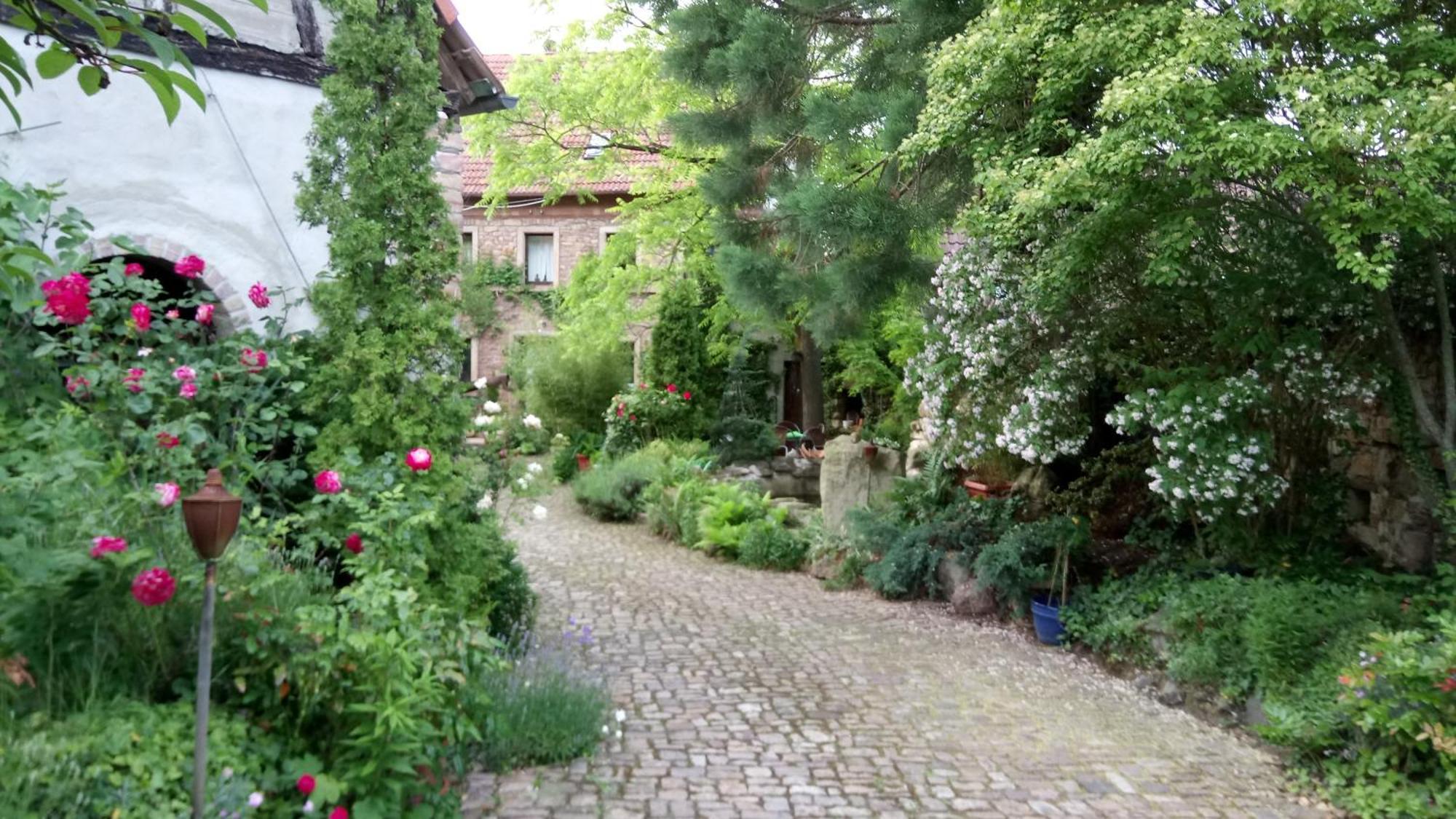 "El Patio" Am Donnersberg Appartement Dannenfels Buitenkant foto