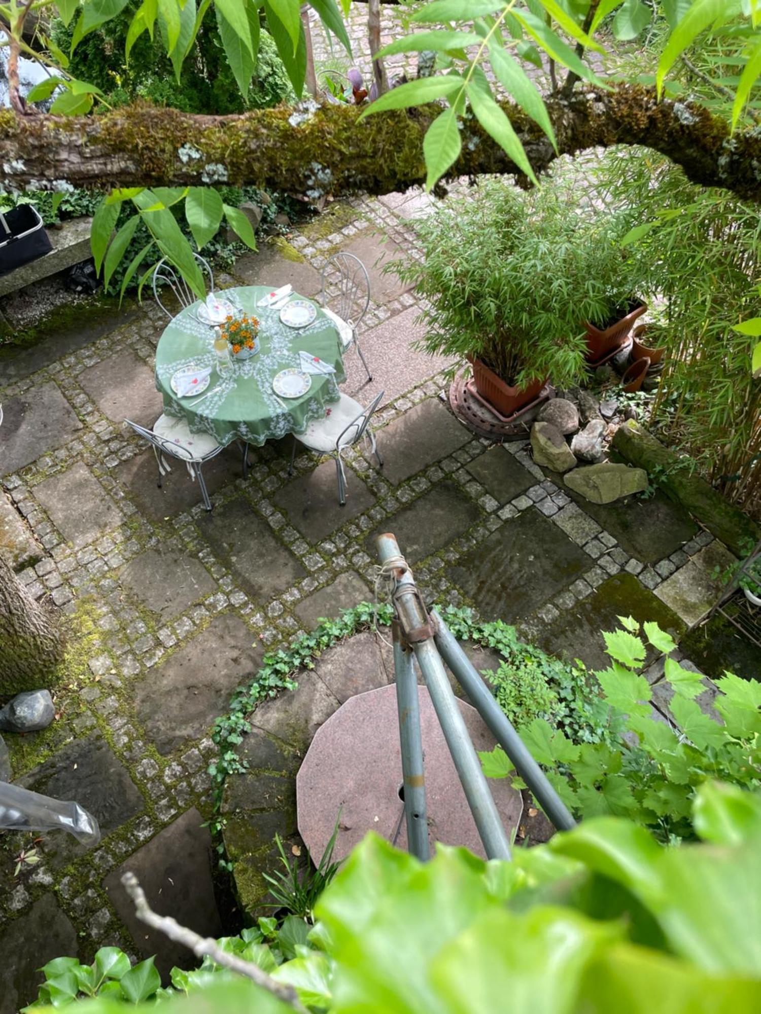 "El Patio" Am Donnersberg Appartement Dannenfels Buitenkant foto