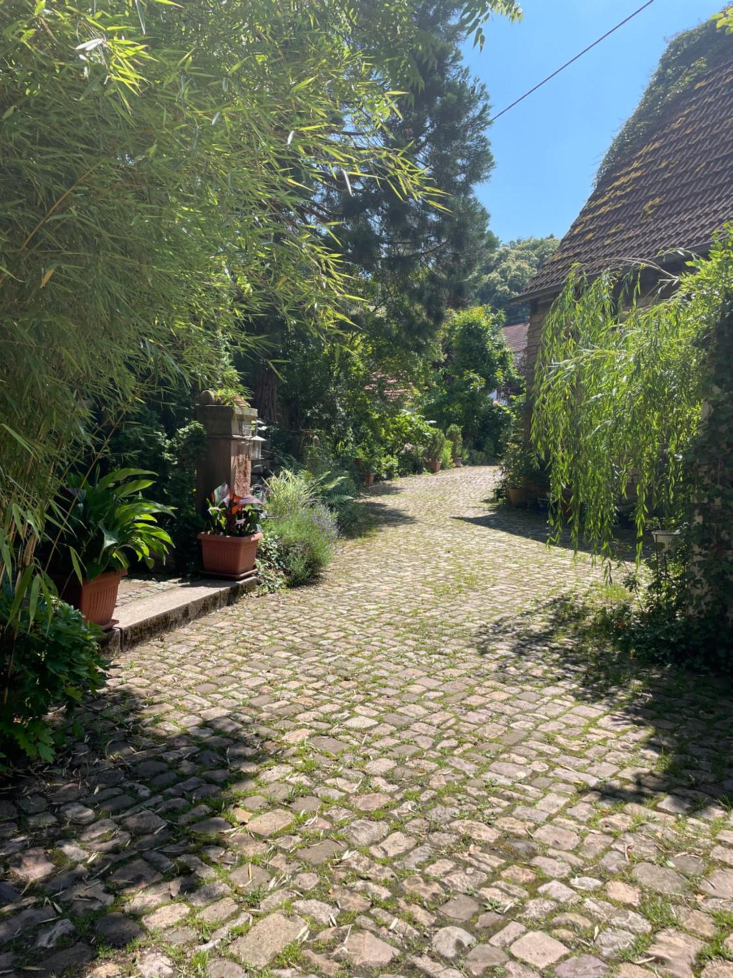 "El Patio" Am Donnersberg Appartement Dannenfels Buitenkant foto