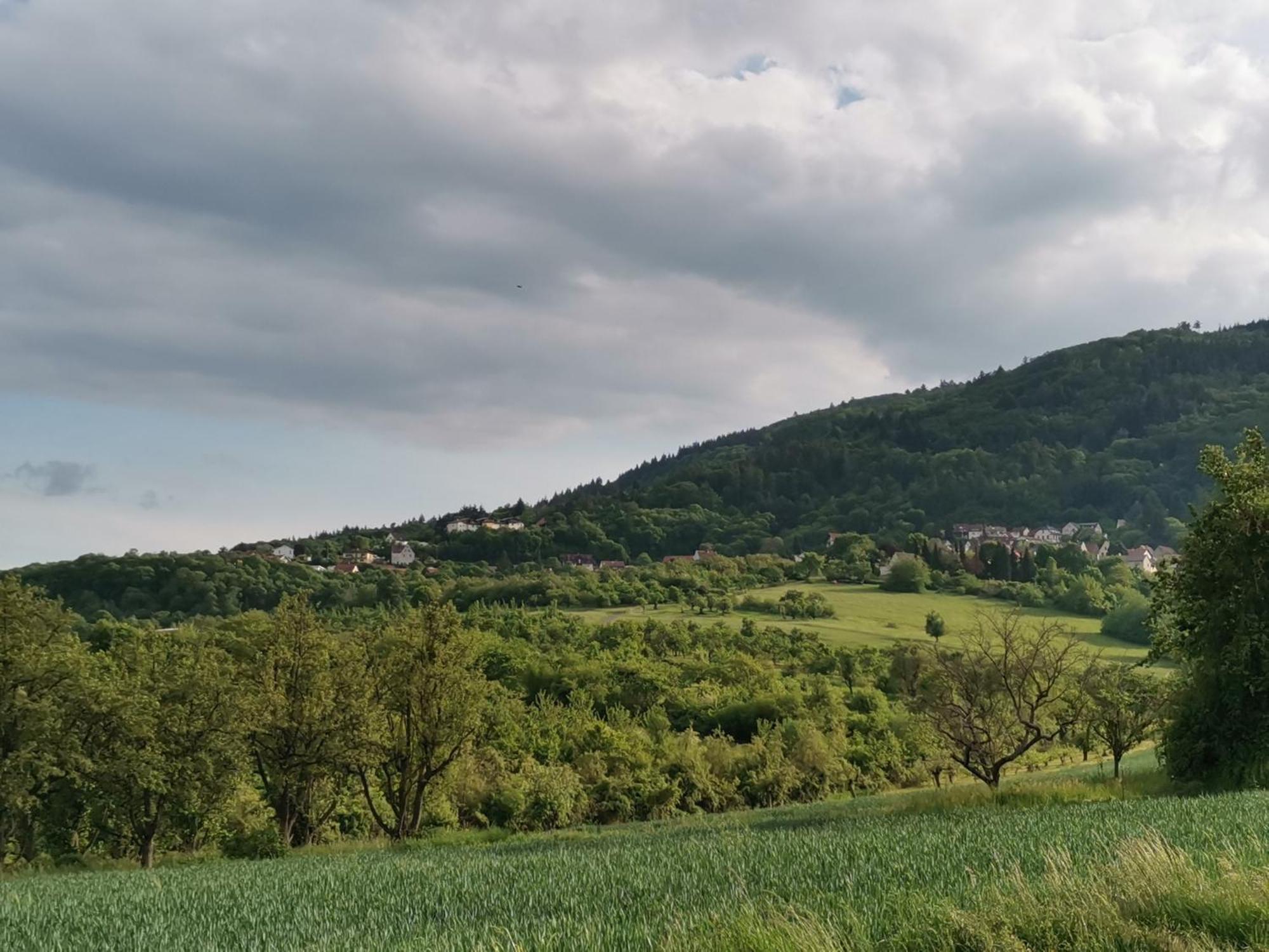 "El Patio" Am Donnersberg Appartement Dannenfels Buitenkant foto