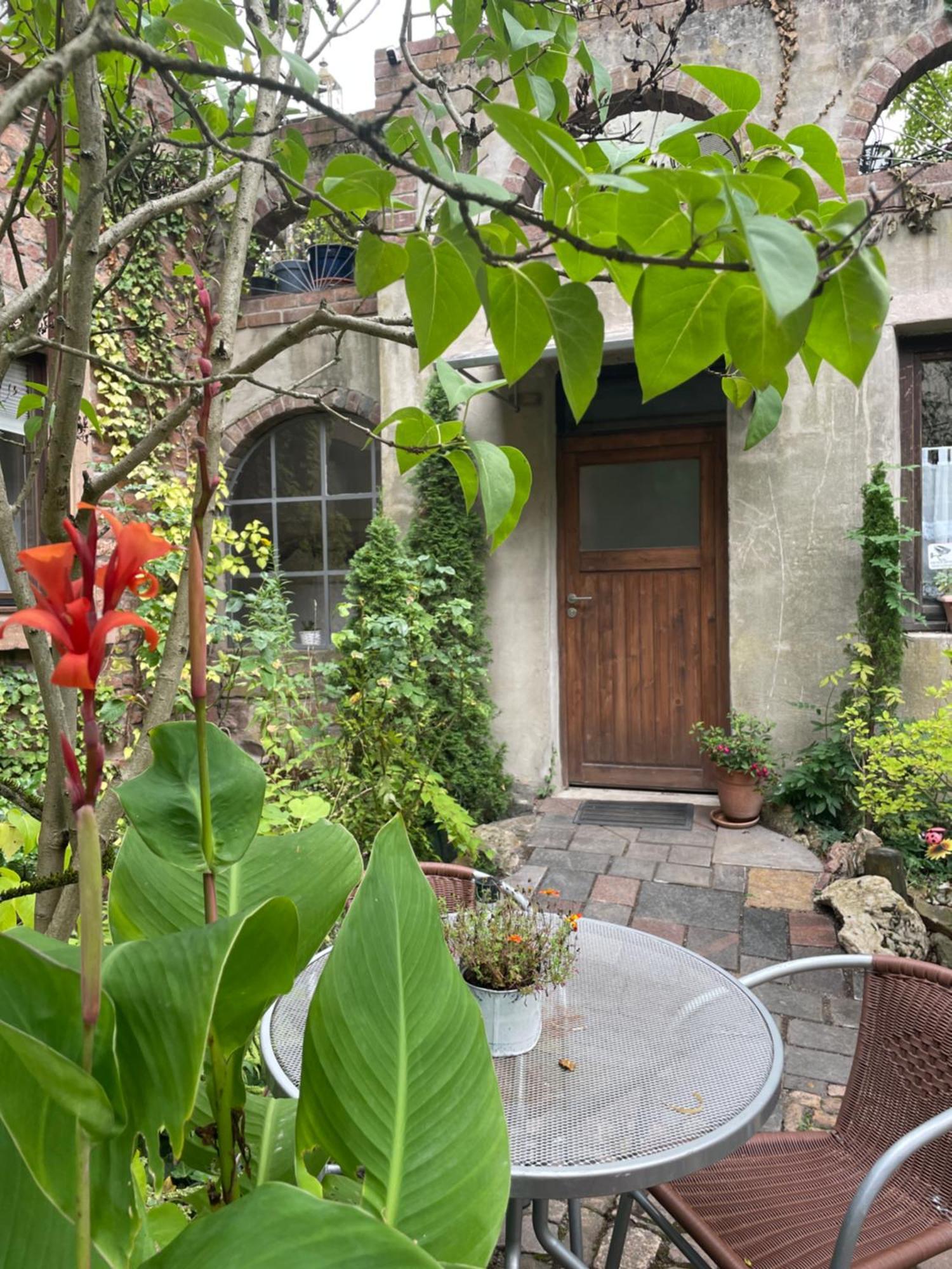 "El Patio" Am Donnersberg Appartement Dannenfels Buitenkant foto