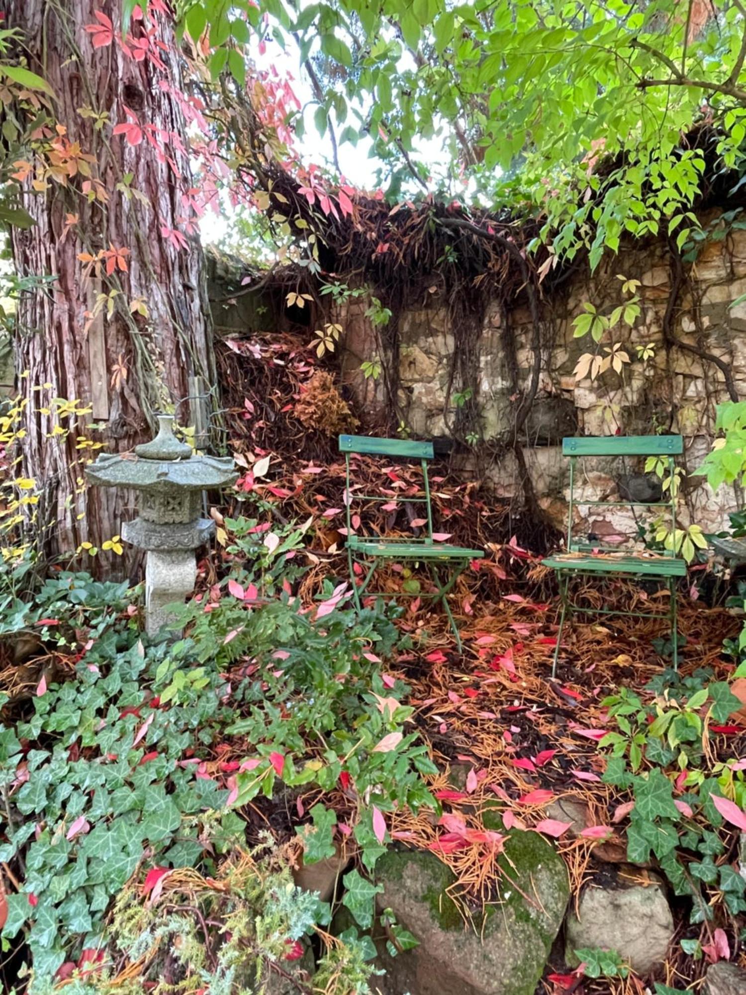 "El Patio" Am Donnersberg Appartement Dannenfels Buitenkant foto